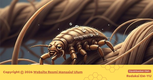 Kutu - Website Mansajul Ulum