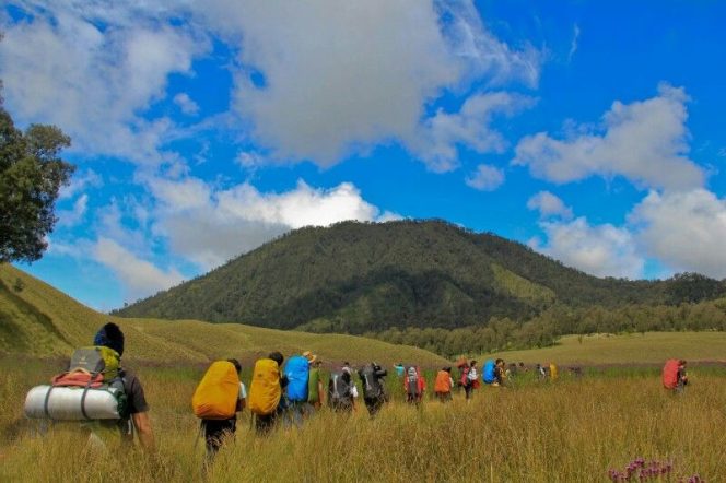 
 Sumber: Pinterest